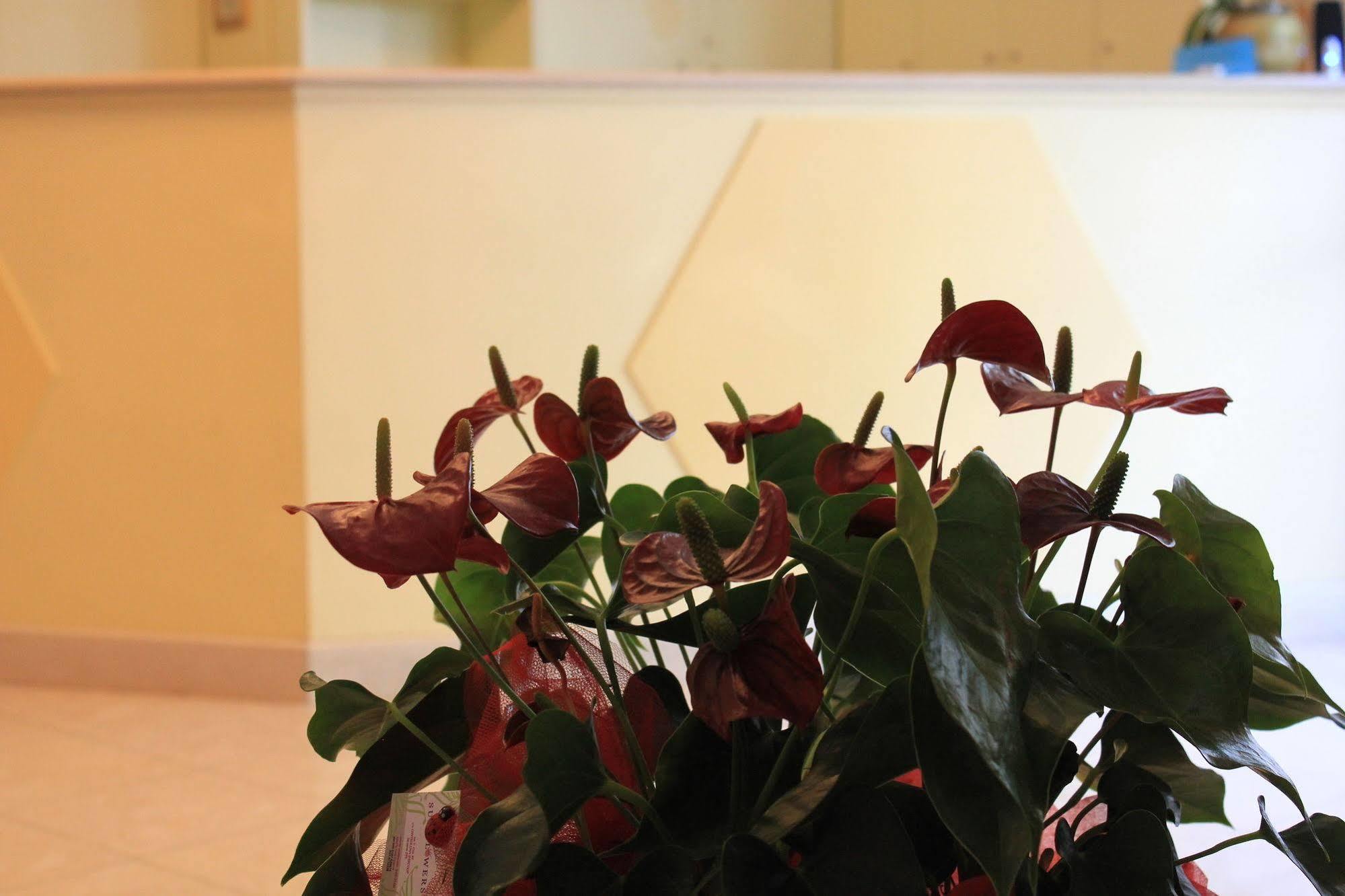 Hotel Hh Il Gabbiano La Spezia Zewnętrze zdjęcie